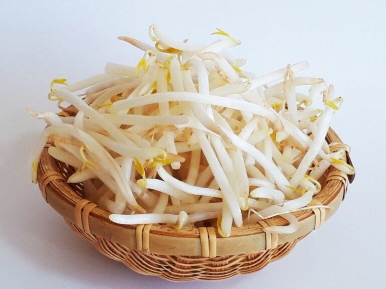 もやしの食あたり症状|原因菌・潜伏期間・対処法と安全な加熱方法を徹底解説 | たべもの大百科