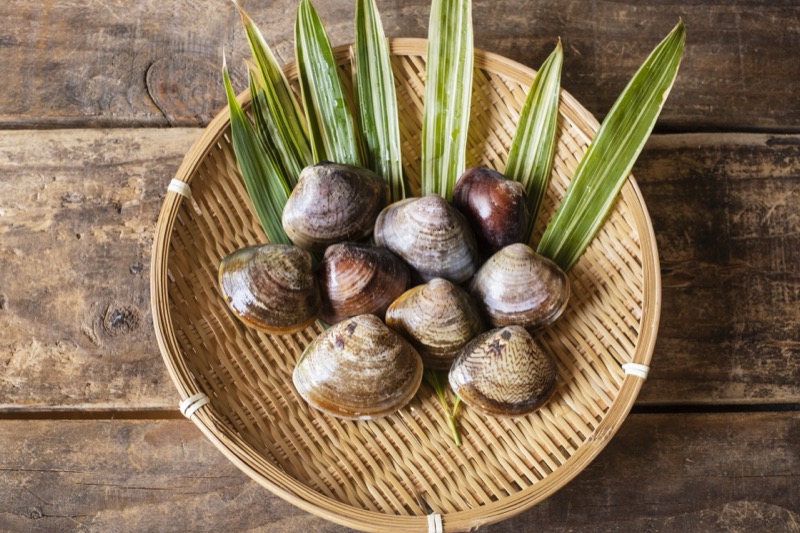 はまぐりの賞味期限