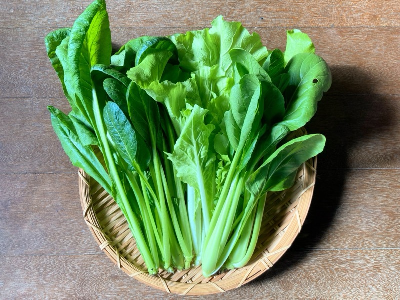 小松菜の保存方法