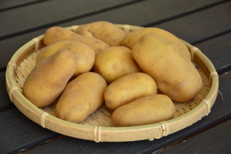 じゃがいもの保存方法