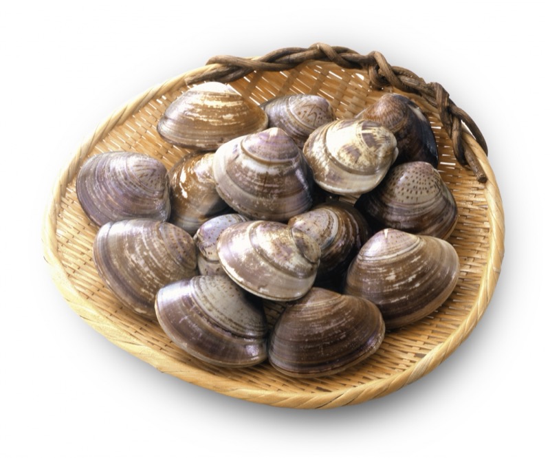 はまぐりの賞味期限