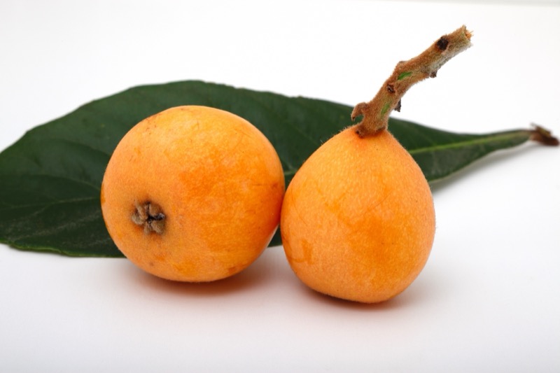 びわの保存方法