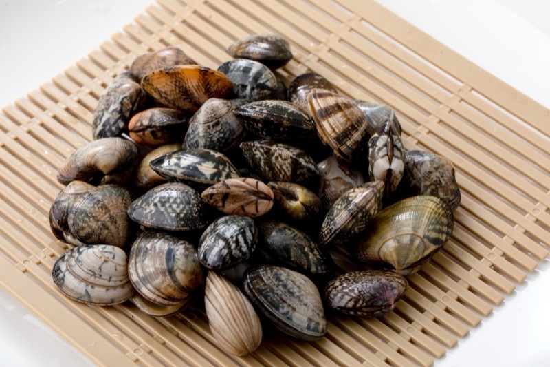 あさりの保存方法